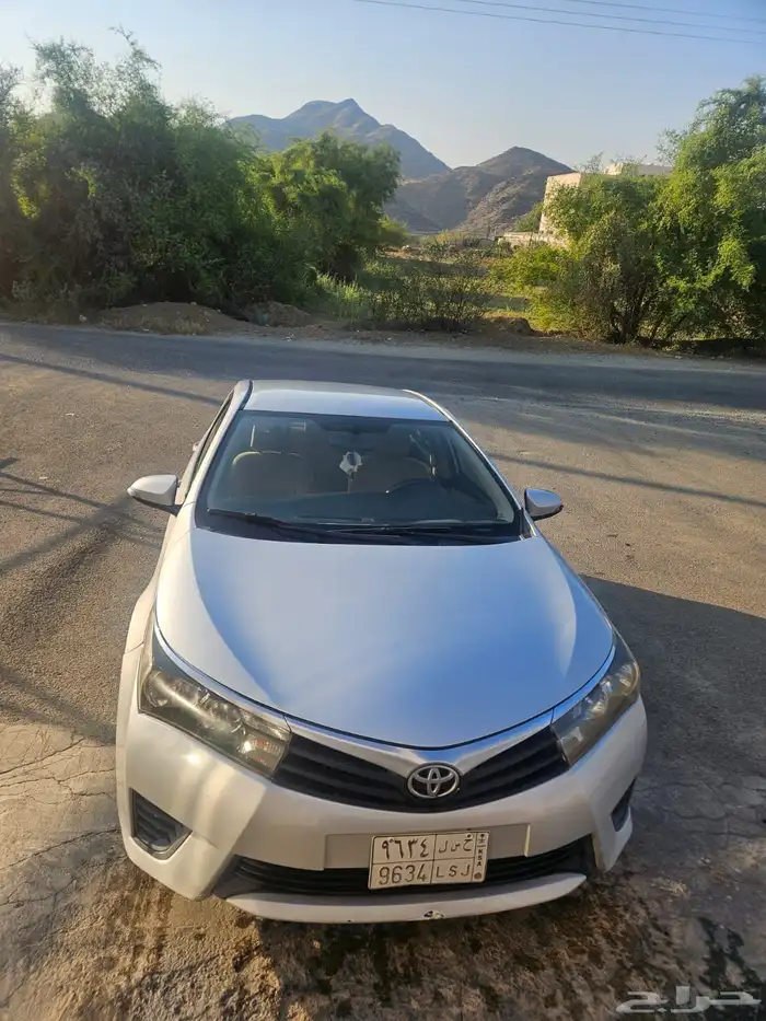 كورلاء 2015 للبيع 12