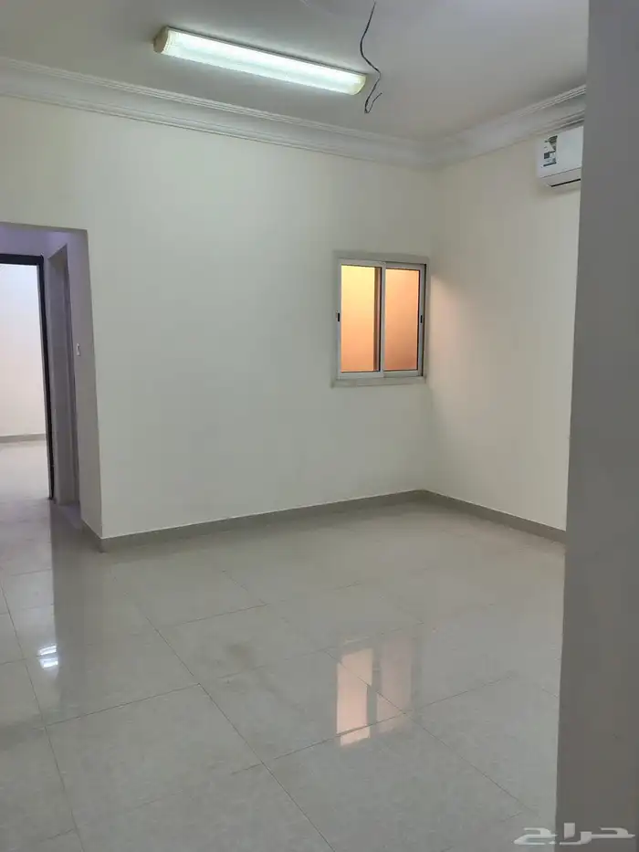 شقة عزاب للايجار 2