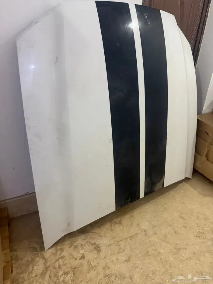 كبوت موستنج 2013-2014 1