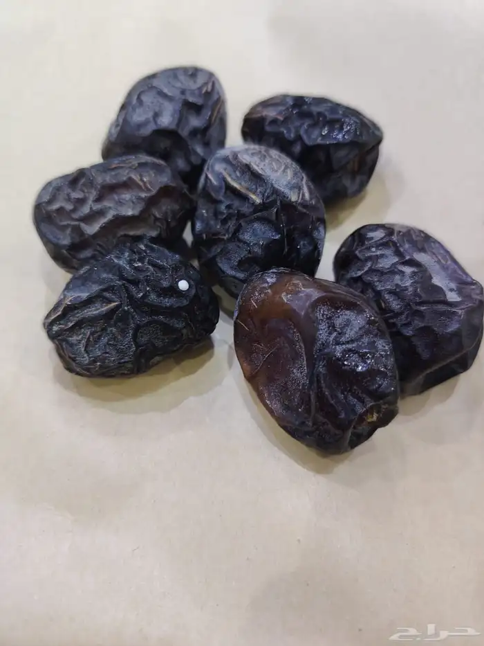 عجوة العاليه 1