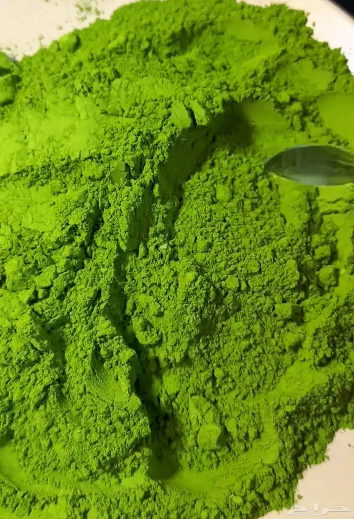 مورينجا عضوية بالجمله 2