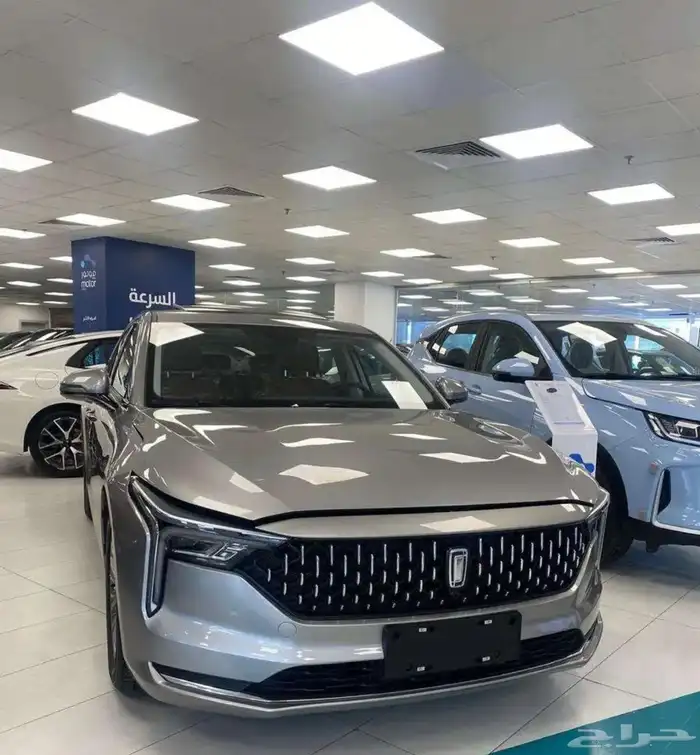 فاوو بيستون (B70 )2026 4