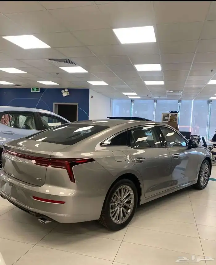 فاوو بيستون (B70 )2026 3