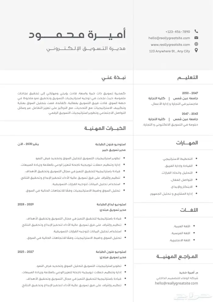 تصميم سيرة ذاتية ( cv ) 3