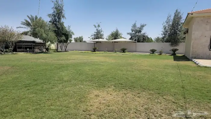 مزرعه للا يجار اليومي 18