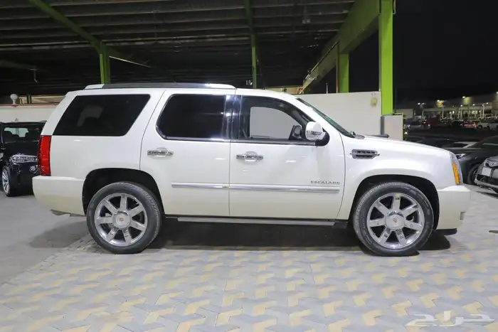 اسكاليد 2014 بدي وكاله وارد الجميح 4