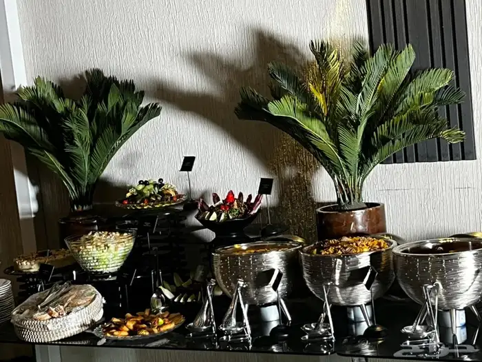 بوفيهات غداء و عشاء 5