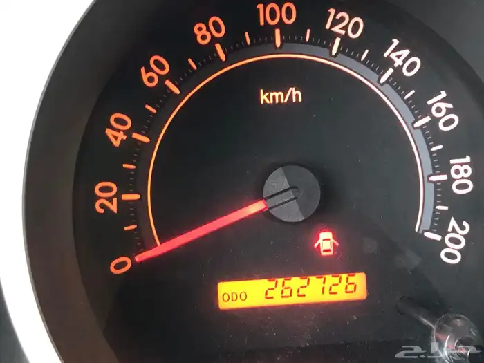 سكويا للبيع 5