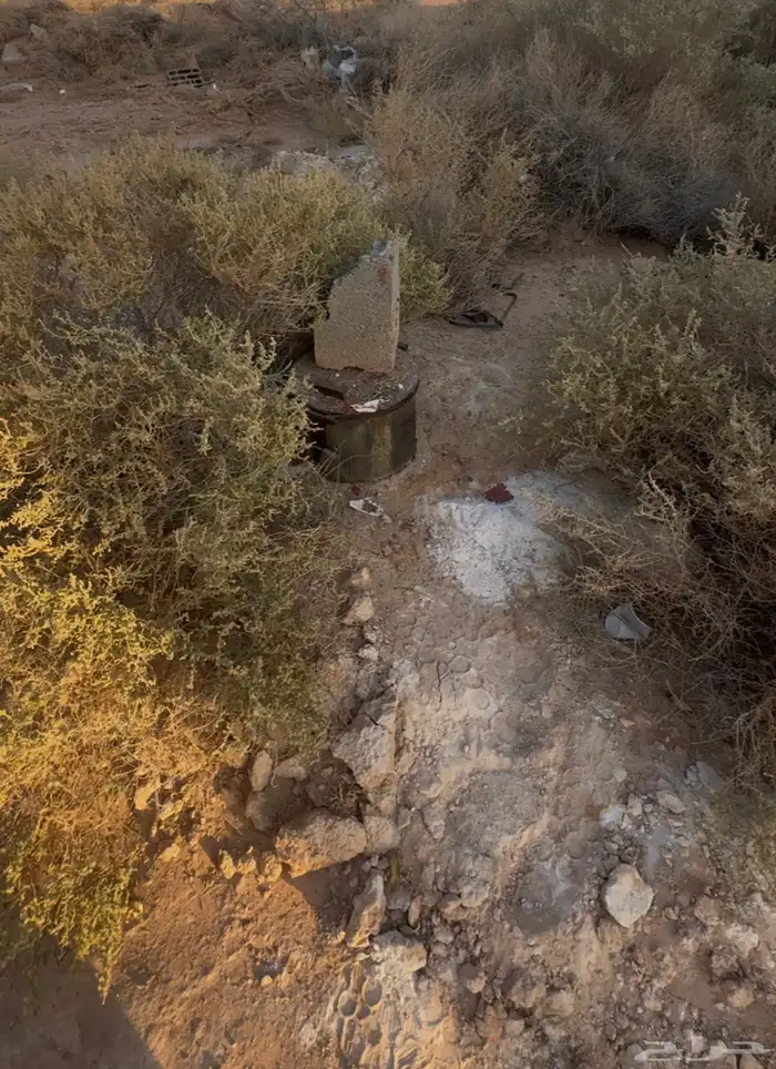 للبيع ارض بصك زراعي بحقروصين 5