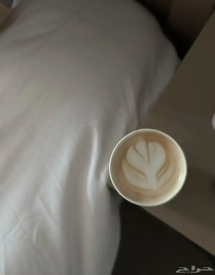 مكينه قهوه LC للبيع اسبرسو حليب جميع الاكسسوارات 4