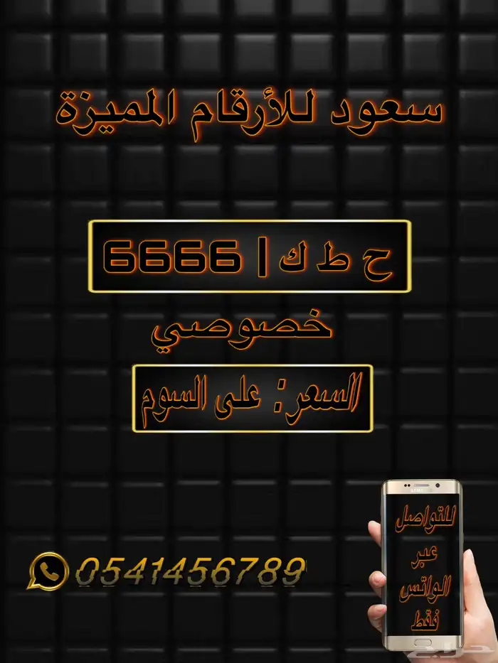 لوحات سيارات مميزة 2