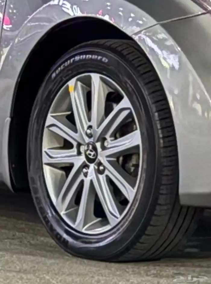 2015 جنوط النترا خليجي للبيع 1