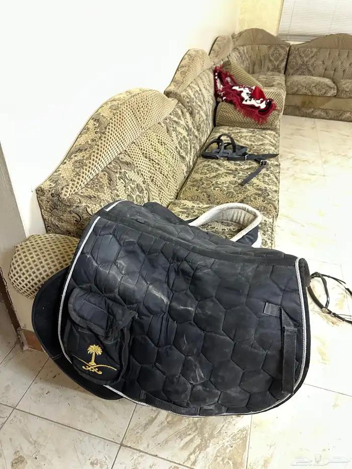 سرج سيتوس نظيف 0