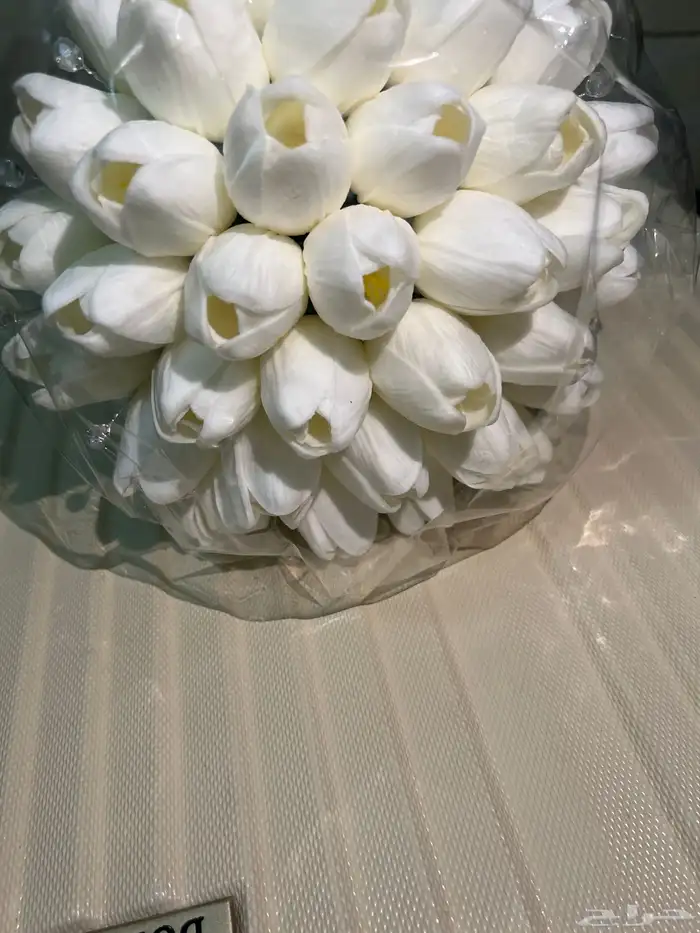 مسكة عروس توليب السعر 120 1