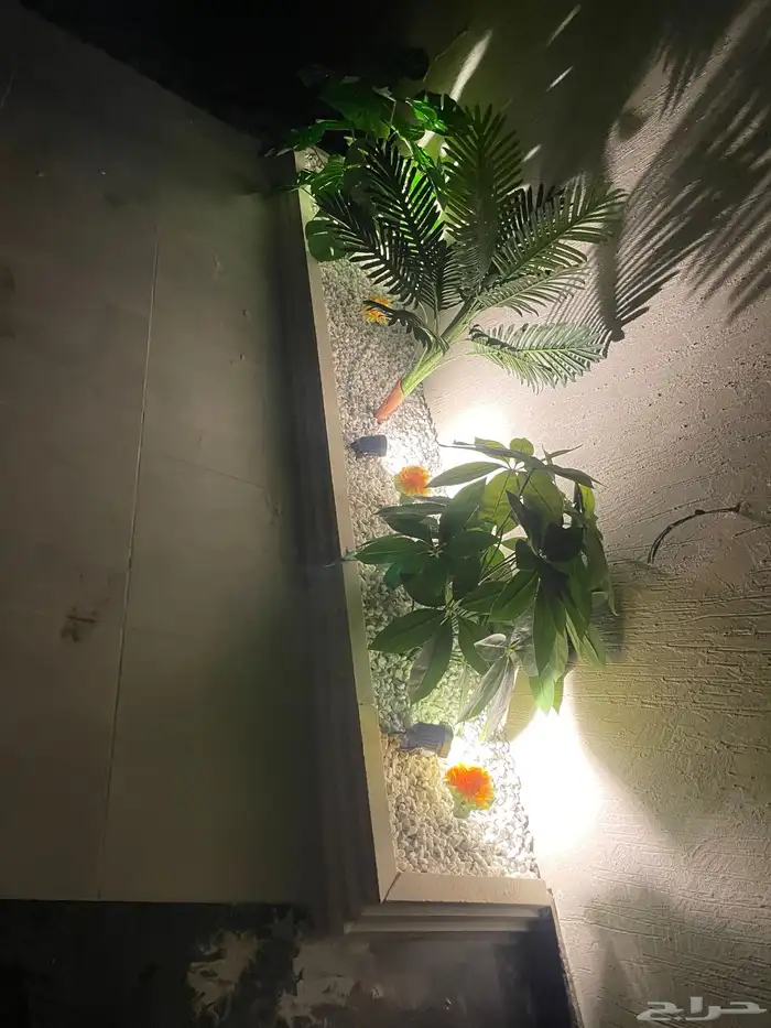 دور في اسكان جليل تشطيب فاخر من المالك مباشره 28