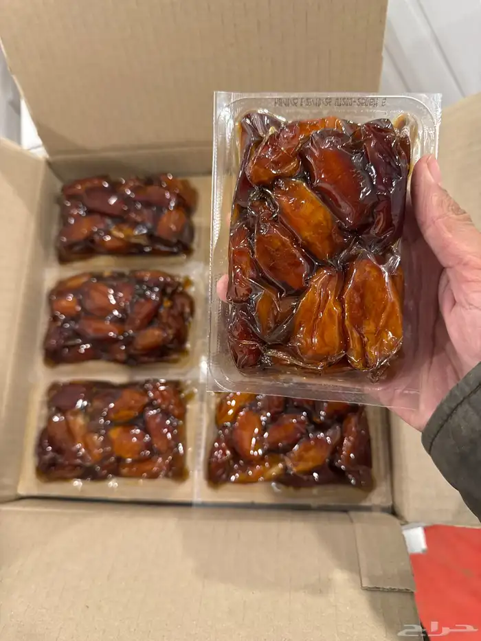 تمر صفري بيشه جامبو 2