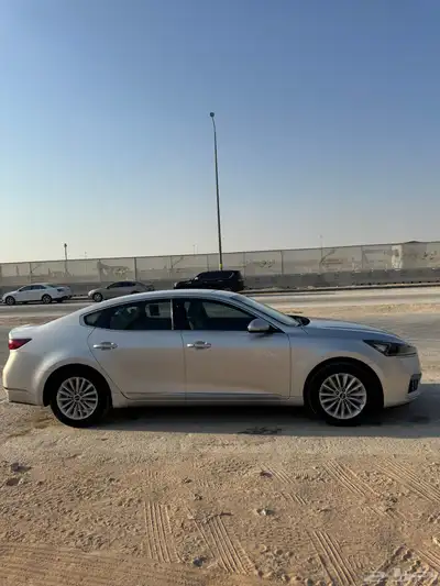 كادنزا 2017 index