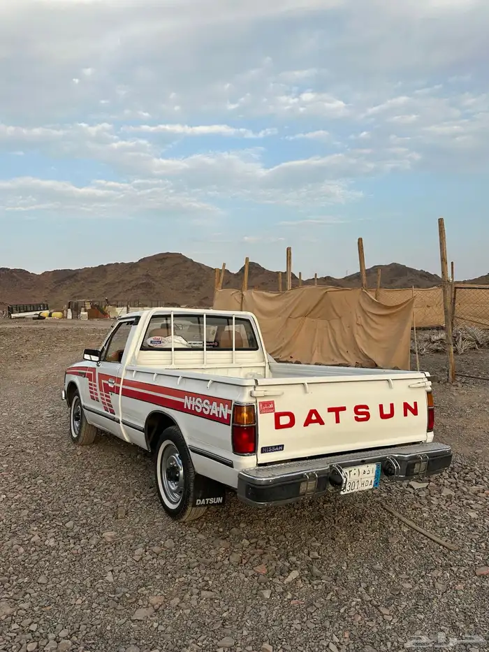 ددسن 83 مجدد مفحوص 0