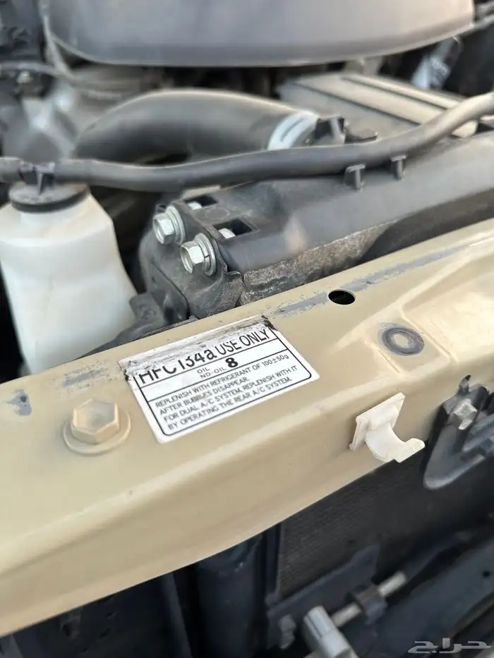 شاص 2010 سعودي 29