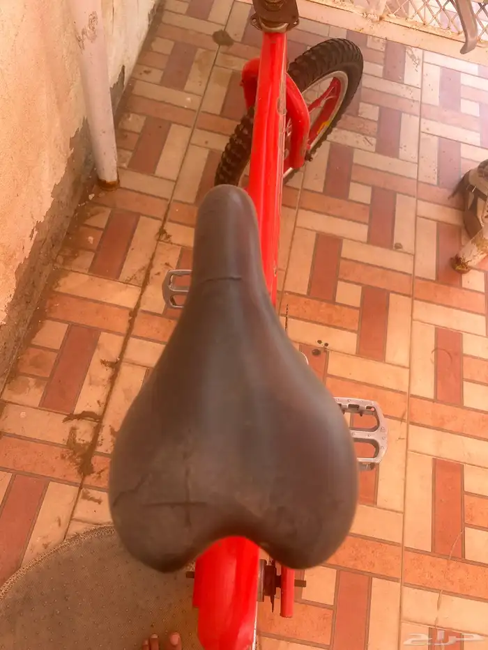 سيكل كوبرا للبيع 1