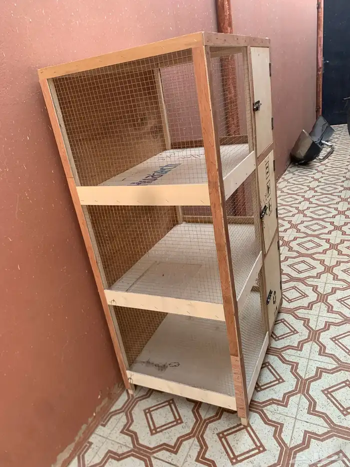 محكر طيور حمام أرانب 2