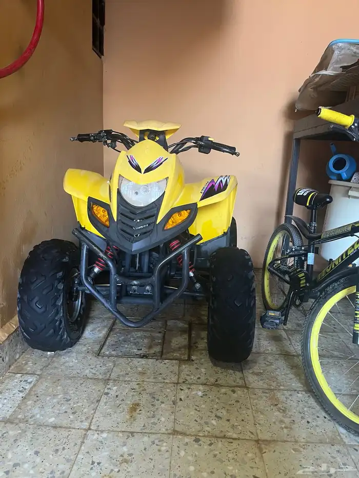 دباب تايواني 0