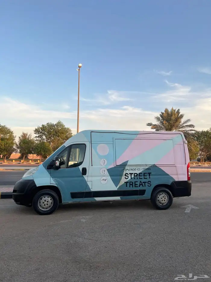 فان بيجو 2013 0