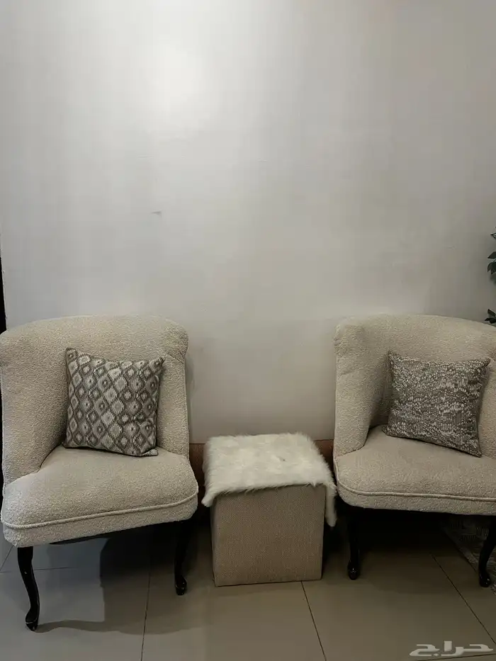 كنبات كرسي 0