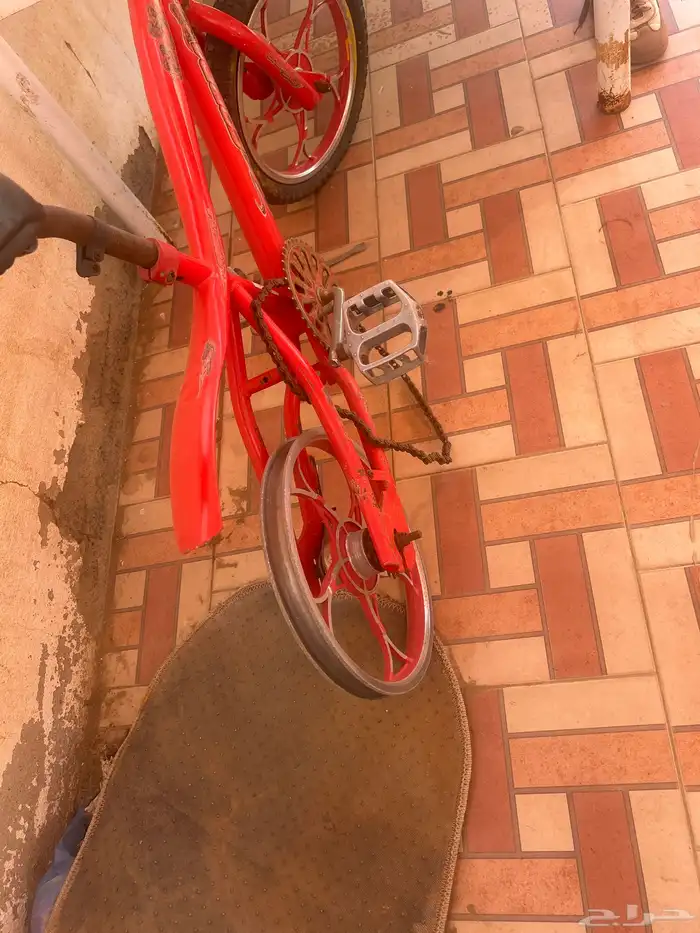 سيكل كوبرا للبيع 3