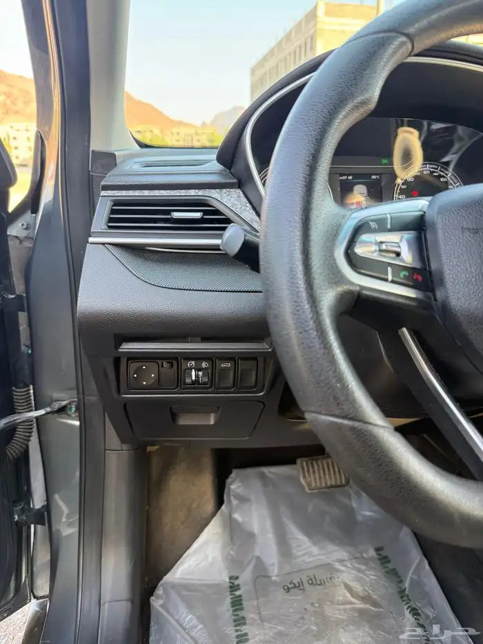 جيلي بينراي 2020 30