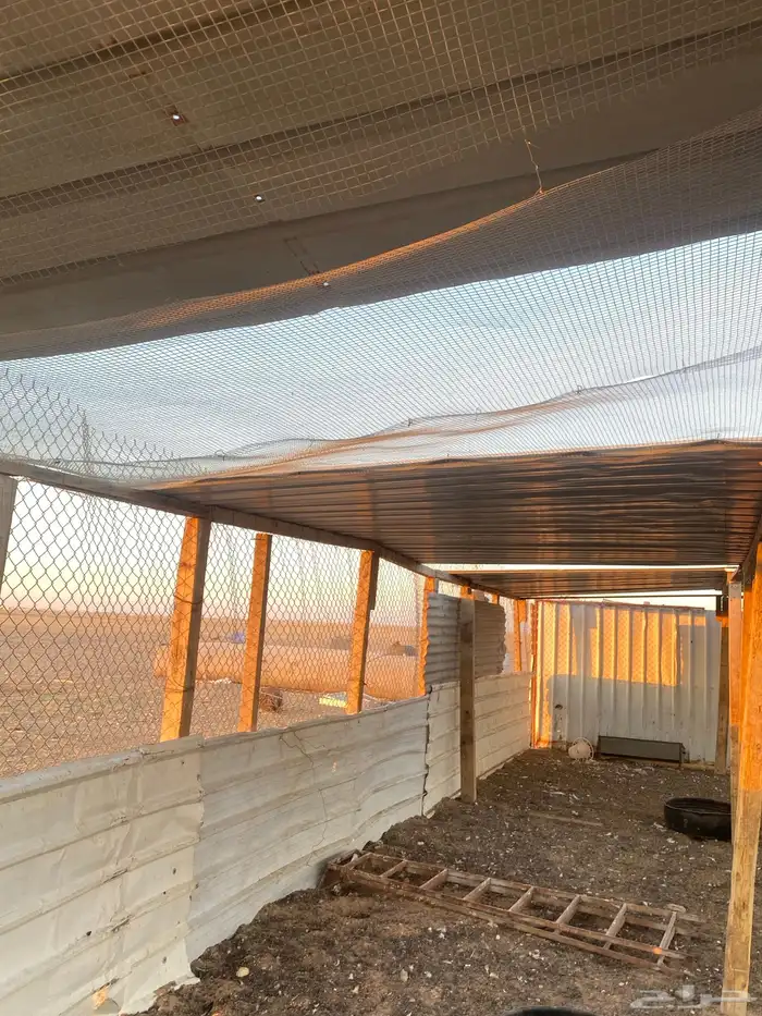 مراح كامل للبيع. 19