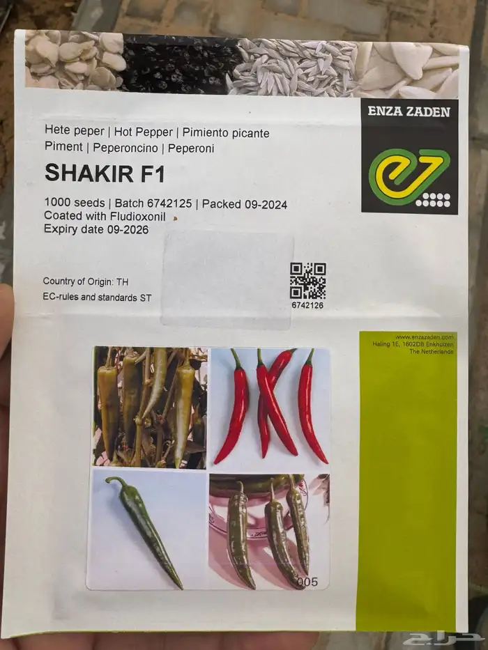 شتلات طماطم وفلفل حار وباذنجان اسود 1