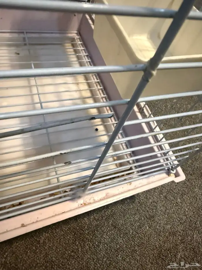 قفص كاسكو مستعمل للبيع 1