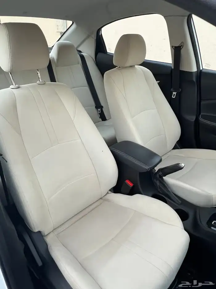 شانجان السفن 2024 5