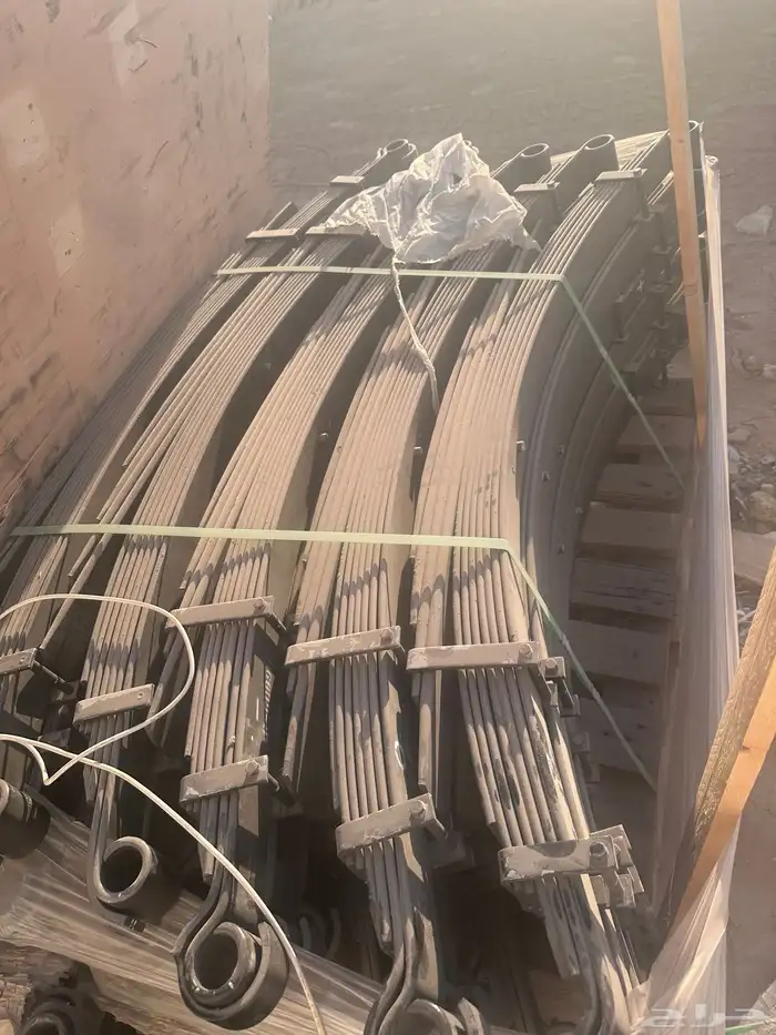 سست شاص 11 ريشه و 8 ريش 1