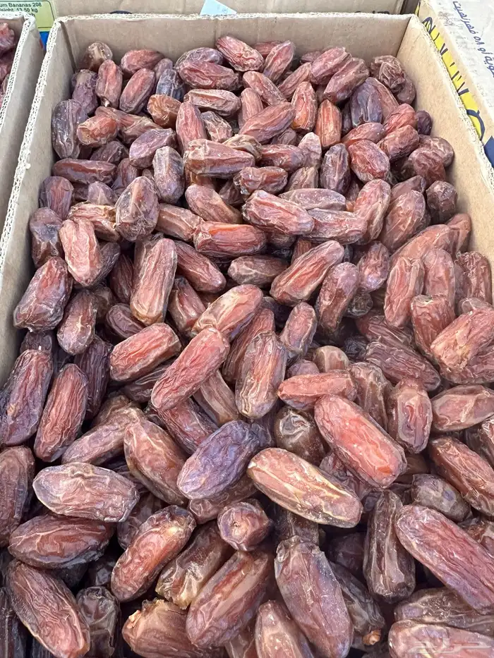 صفري فاخر لون وجوده انتاج آلسنه 8