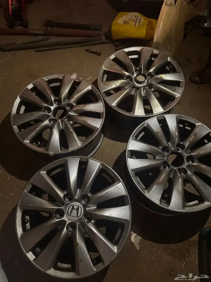 جنوط اكورد 0