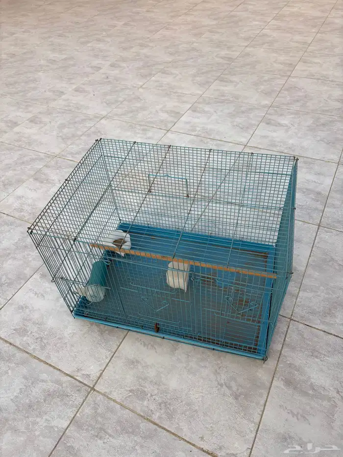 قفص عصافير 0