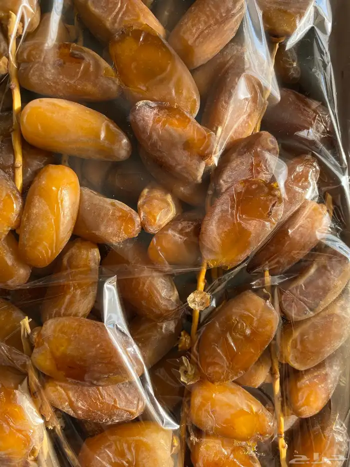 دقلة نور الجزائرية جديدة 2