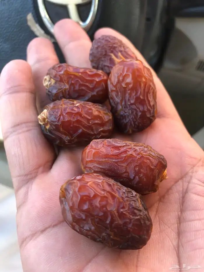 خلاص وادي حبه طيبه وزن الكرتون 20كيلو 0