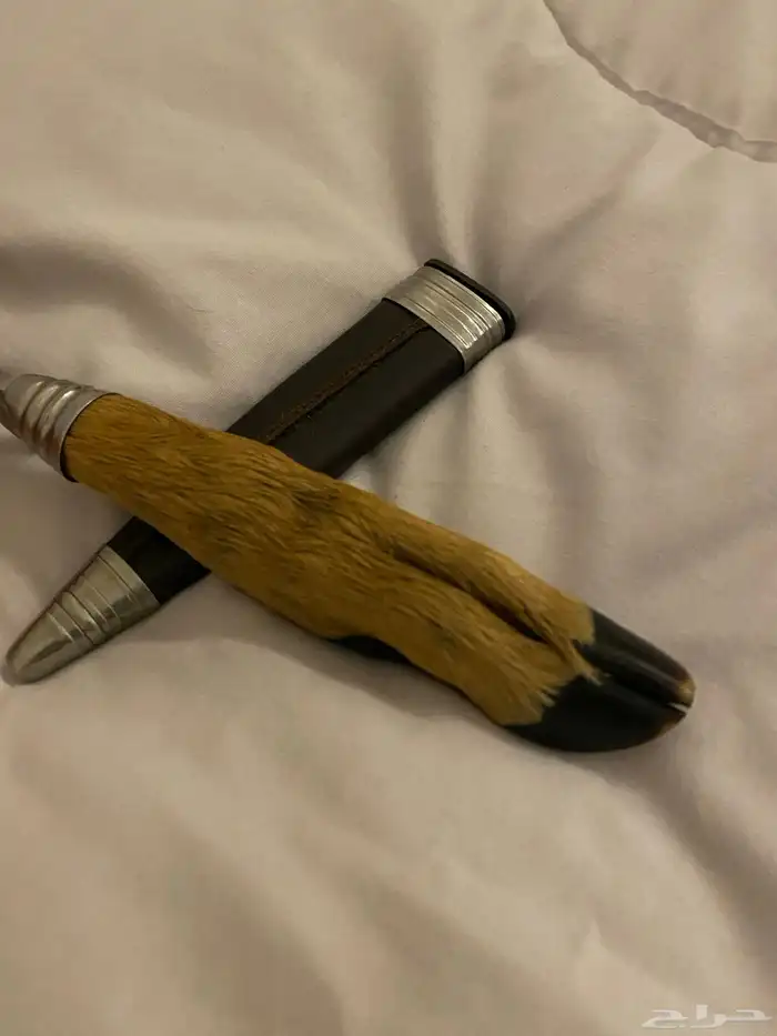 سكين كعب الغزال نظيفه السعر 300 4