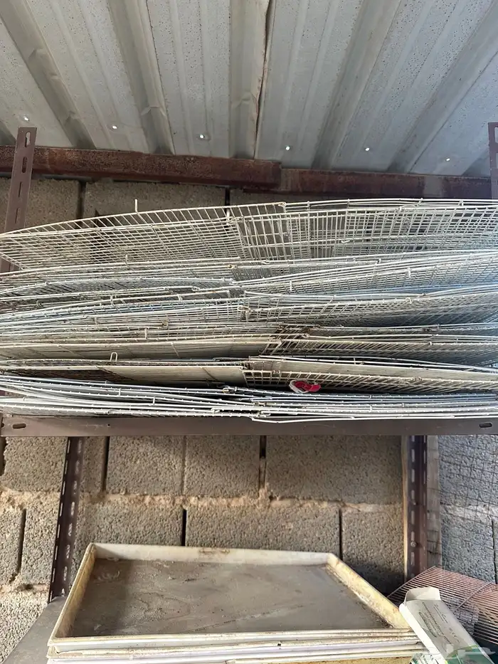 شبوك طيور منوعه 600-601 -وشنقل 1