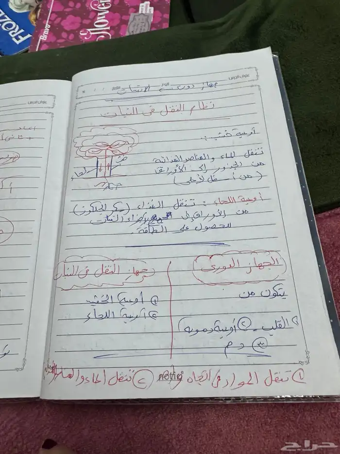 مدرسه خصوصيه ف خميس مشيط 6