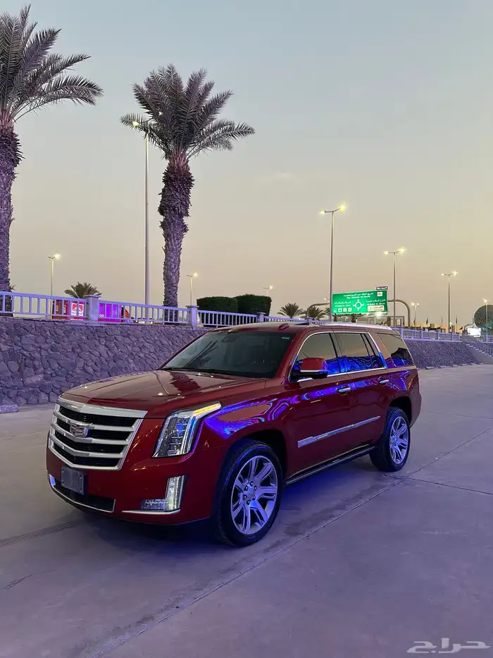 كاديلاك اسكاليدا 31