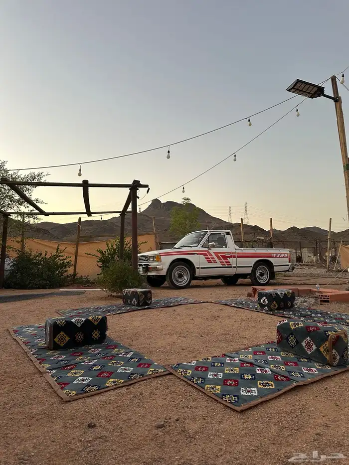 ددسن 83 مجدد مفحوص 2