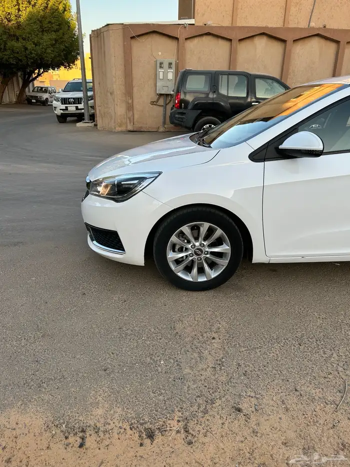 شيري اريزو 5 6