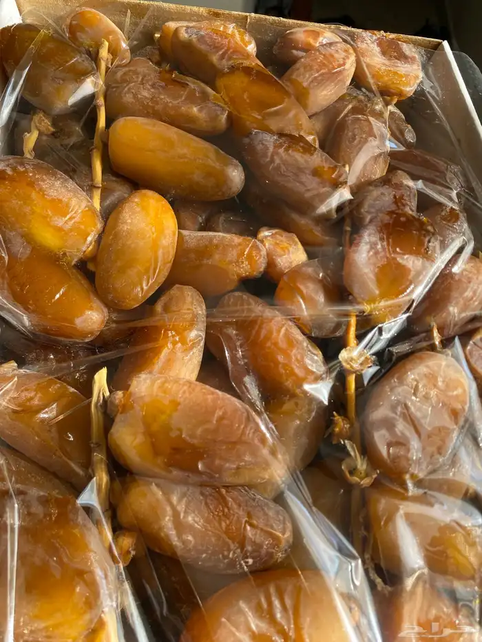 دقلة نور الجزائرية جديدة 0