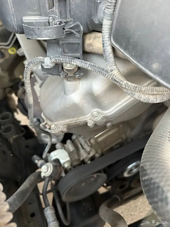 شاص 2010 سعودي 32