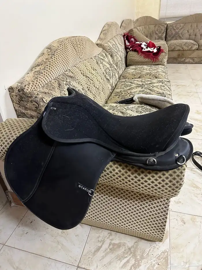 سرج سيتوس نظيف 2