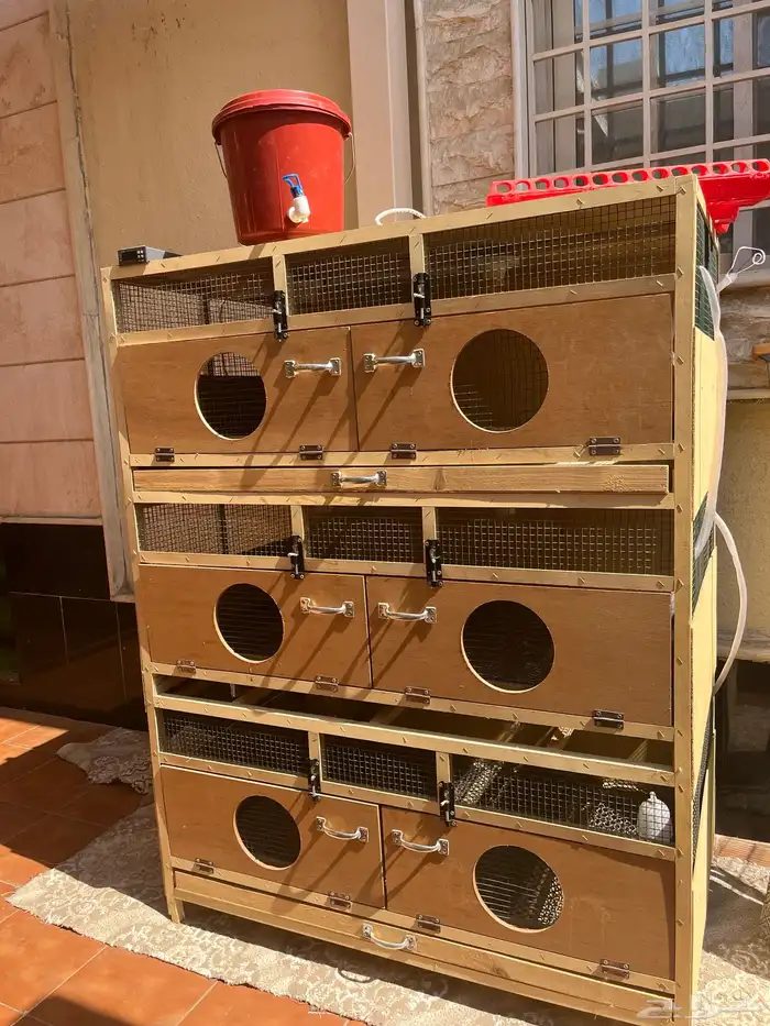 حضانة فروخ 0